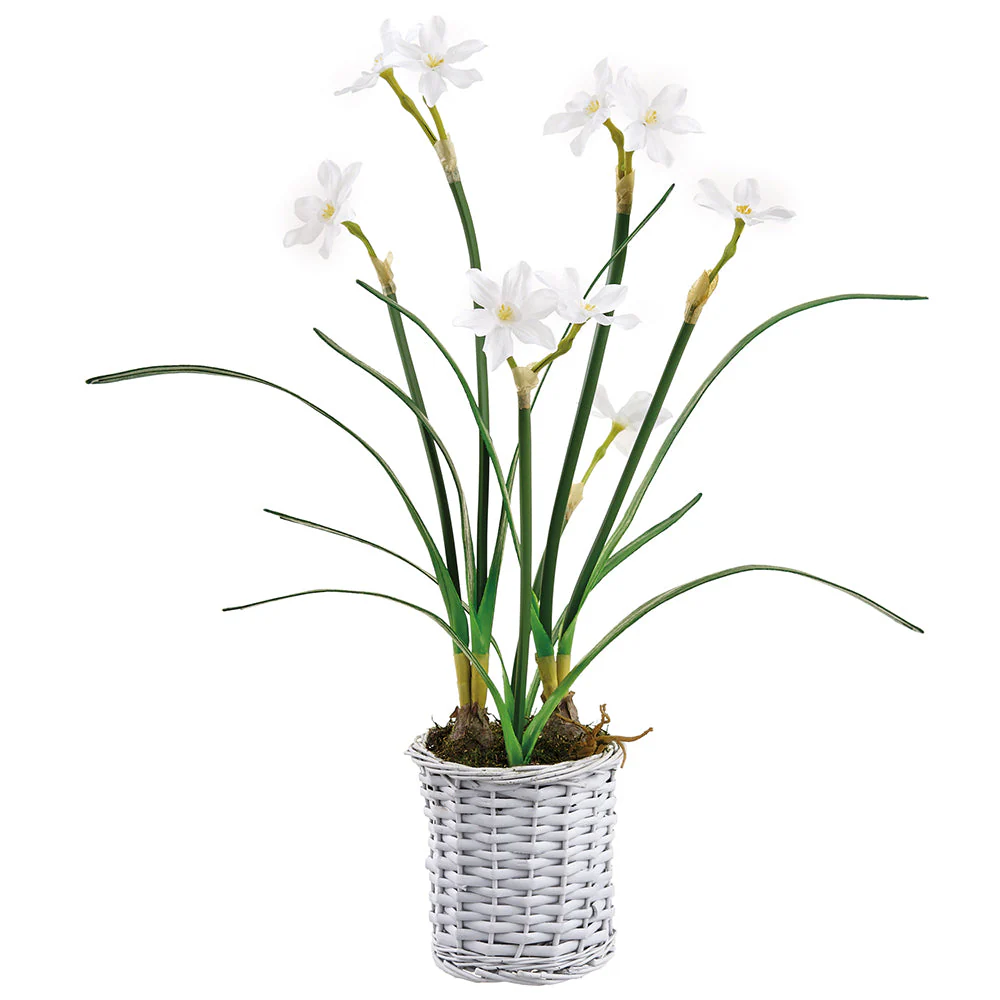 24" Narcissus Silk Flower Arrangement w/Basket -White (Pack of 4)