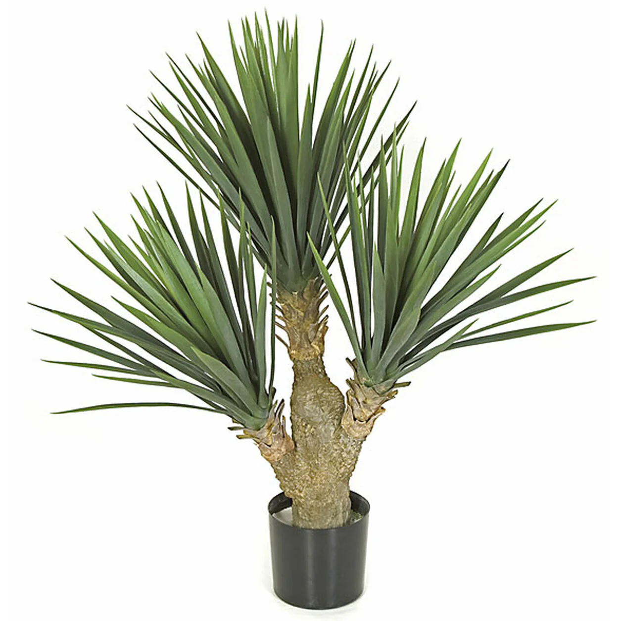 2'4" Outdoor UV-Resistant Artificial Baby Yucca Tree w/Pot -Green