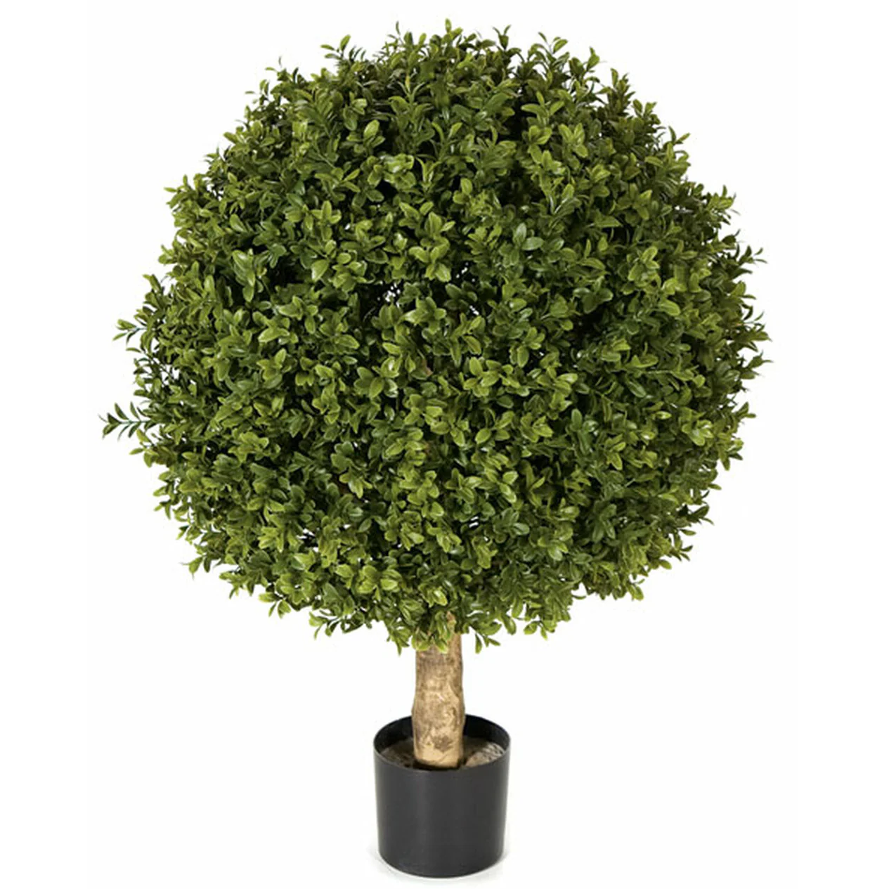 24" Outdoor UV-Resistant Artificial Boxwood Ball-Shaped Topiary w/Pot -Green