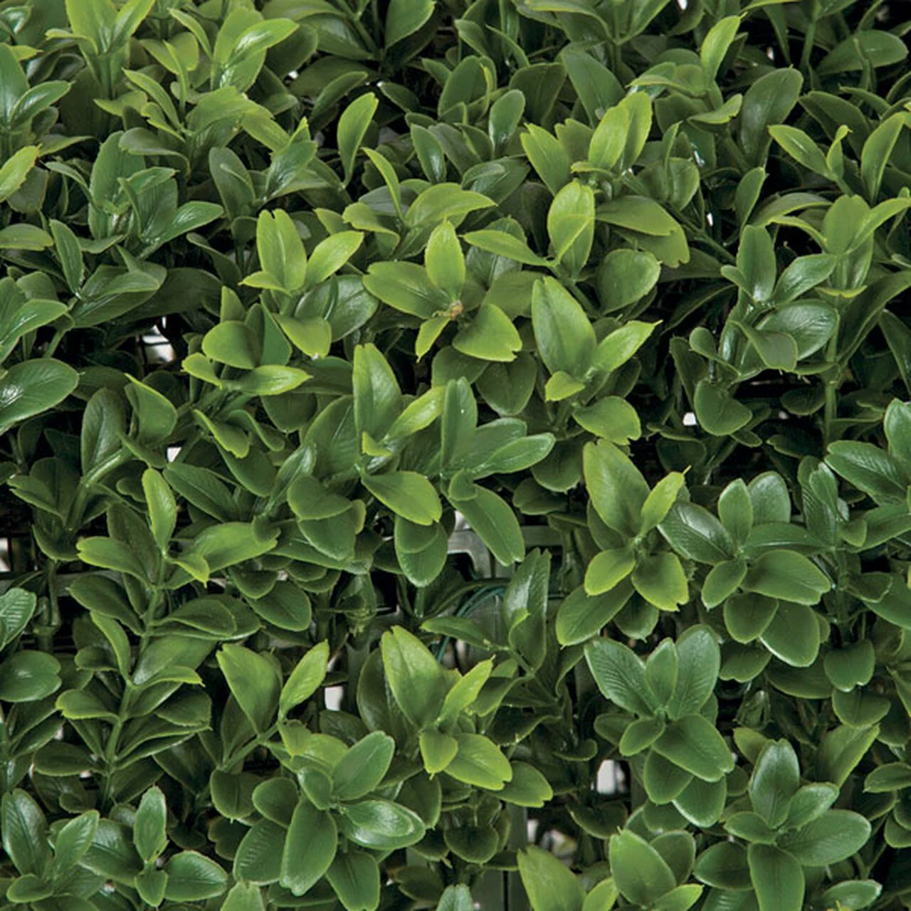 24" Outdoor UV-Resistant Artificial Boxwood Ball-Shaped Topiary w/Pot -Green - Image 2