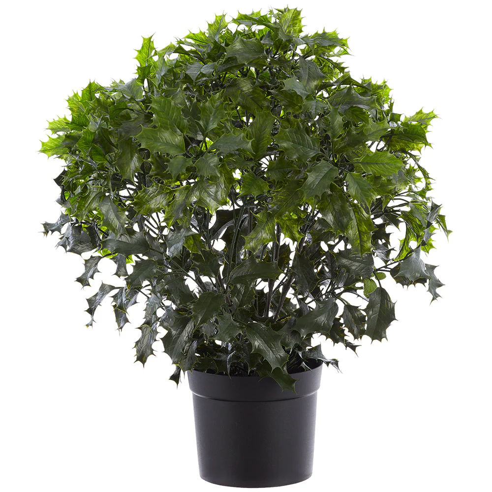 Outdoor Topiary