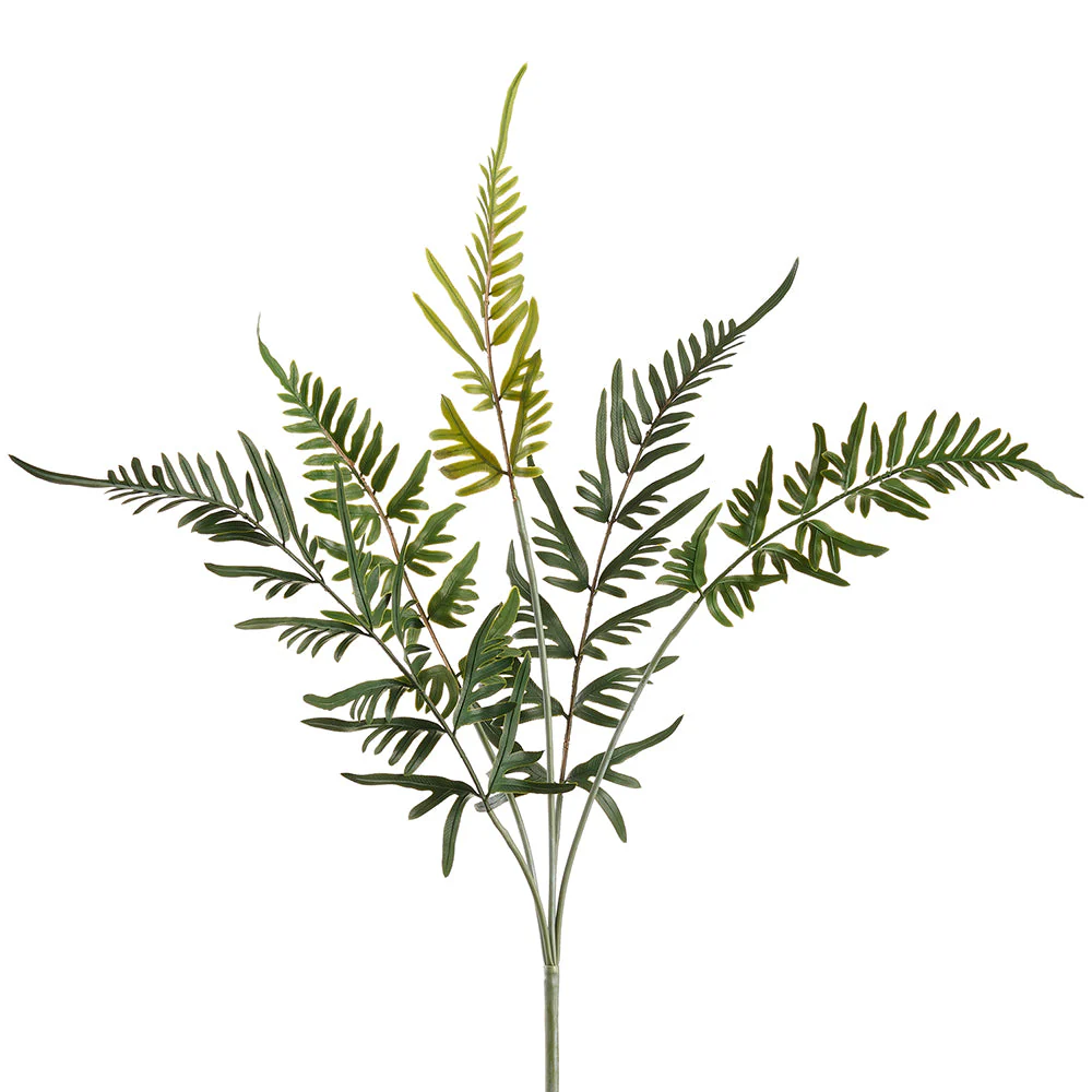 24" PE Soft-Touch Blue Star Fern Leaf Artificial Plant -Green (Pack of 24)