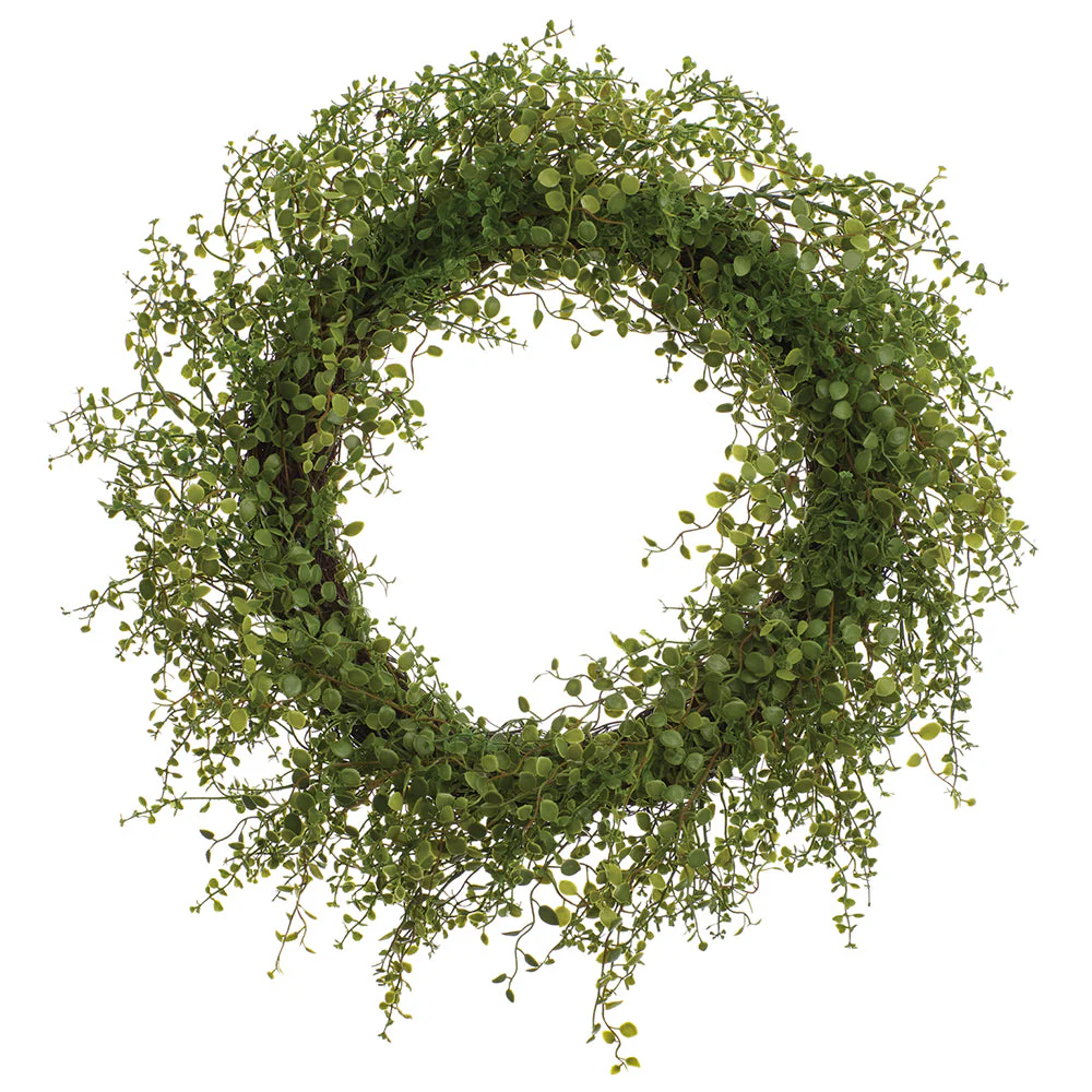 24" PE Soft-Touch Muehlenbeckia Wire Artificial Wreath -Green