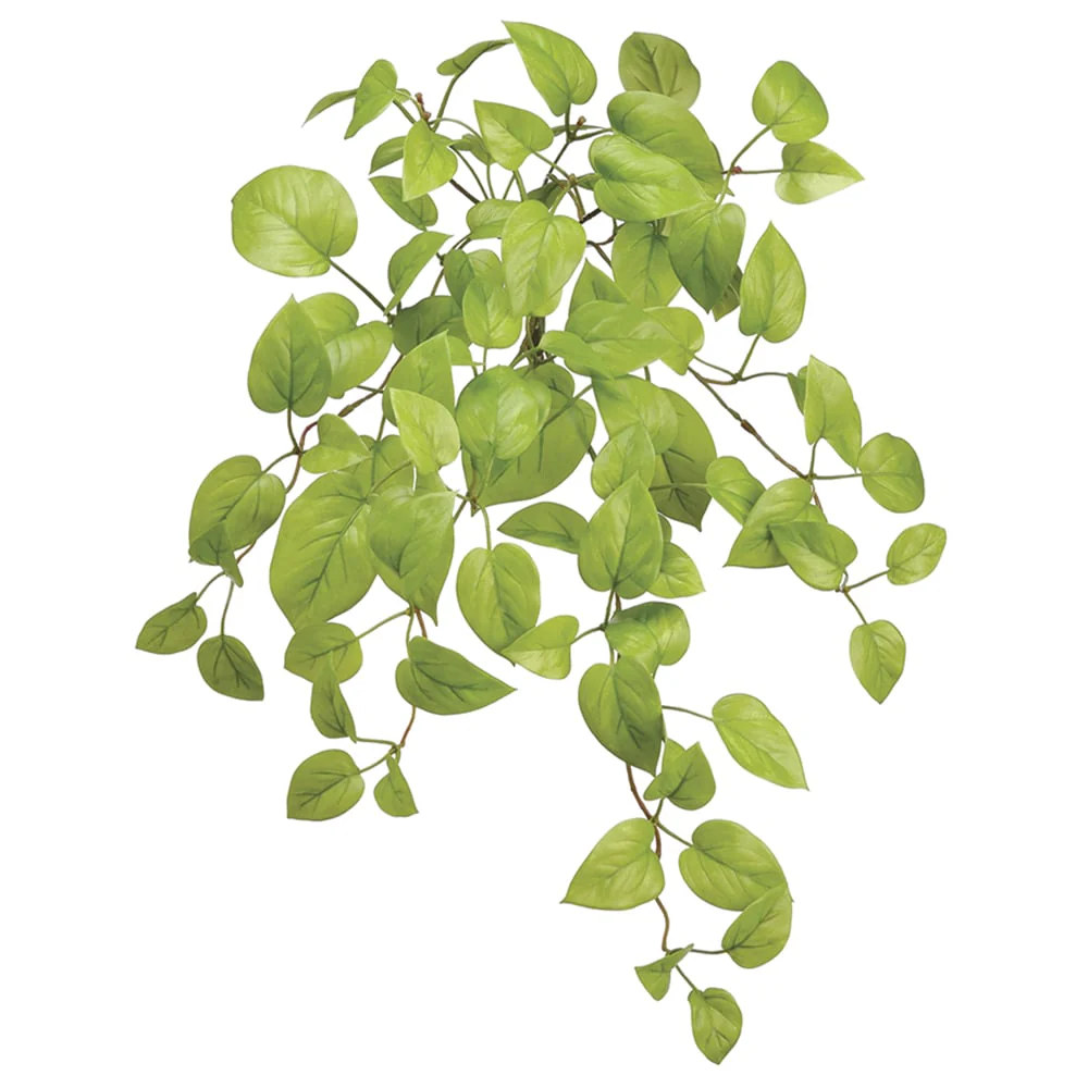 24" Silk Pothos Hanging Plant -Light Green (Pack of 6)