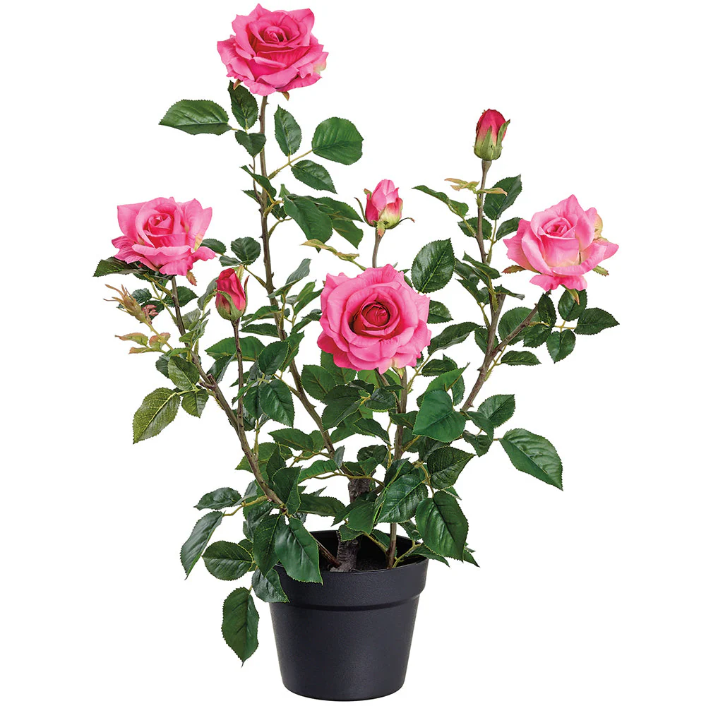 25.2" Rose Silk Flower Arrangement w/Plastic Pot -Cerise (Pack of 4)