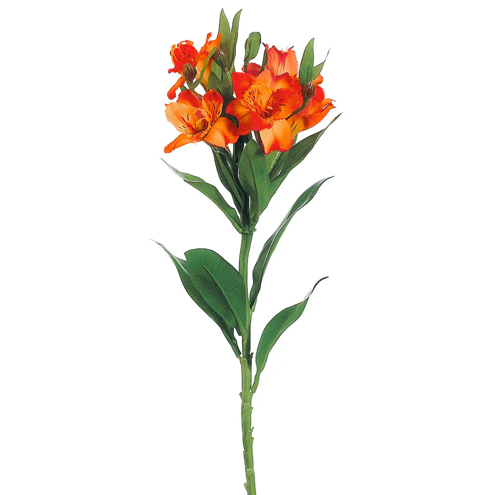 25" Alstroemeria Silk Flower Stem -2 Tone Orange (Pack of 12)