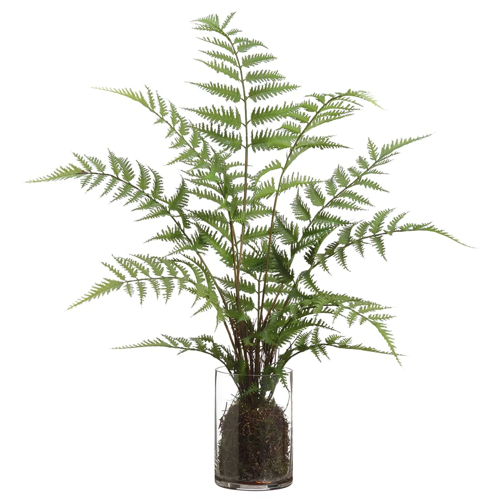 25" Artificial Forest Fern Plant w/Glass Vase -Green (Pack of 4)