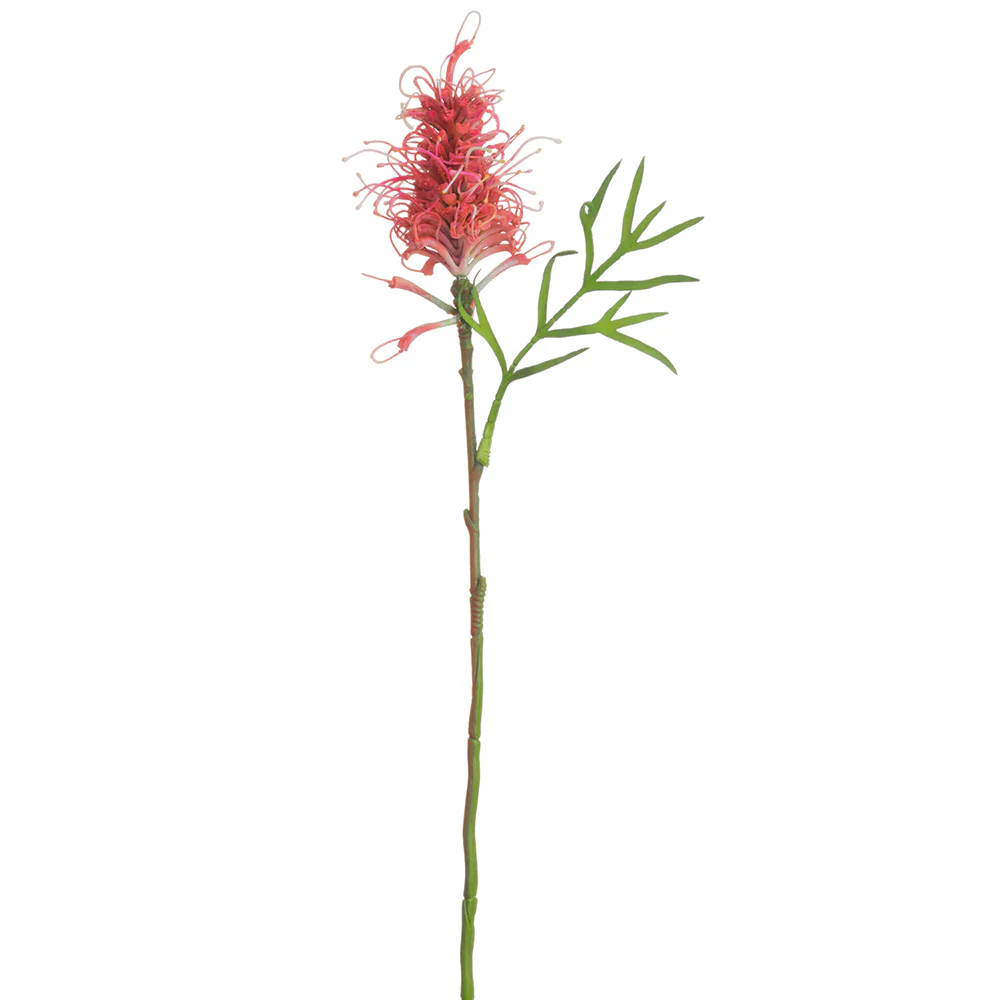 25" Artificial Grevillea Banksia Protea Flower Stem -Wine (Pack of 12)