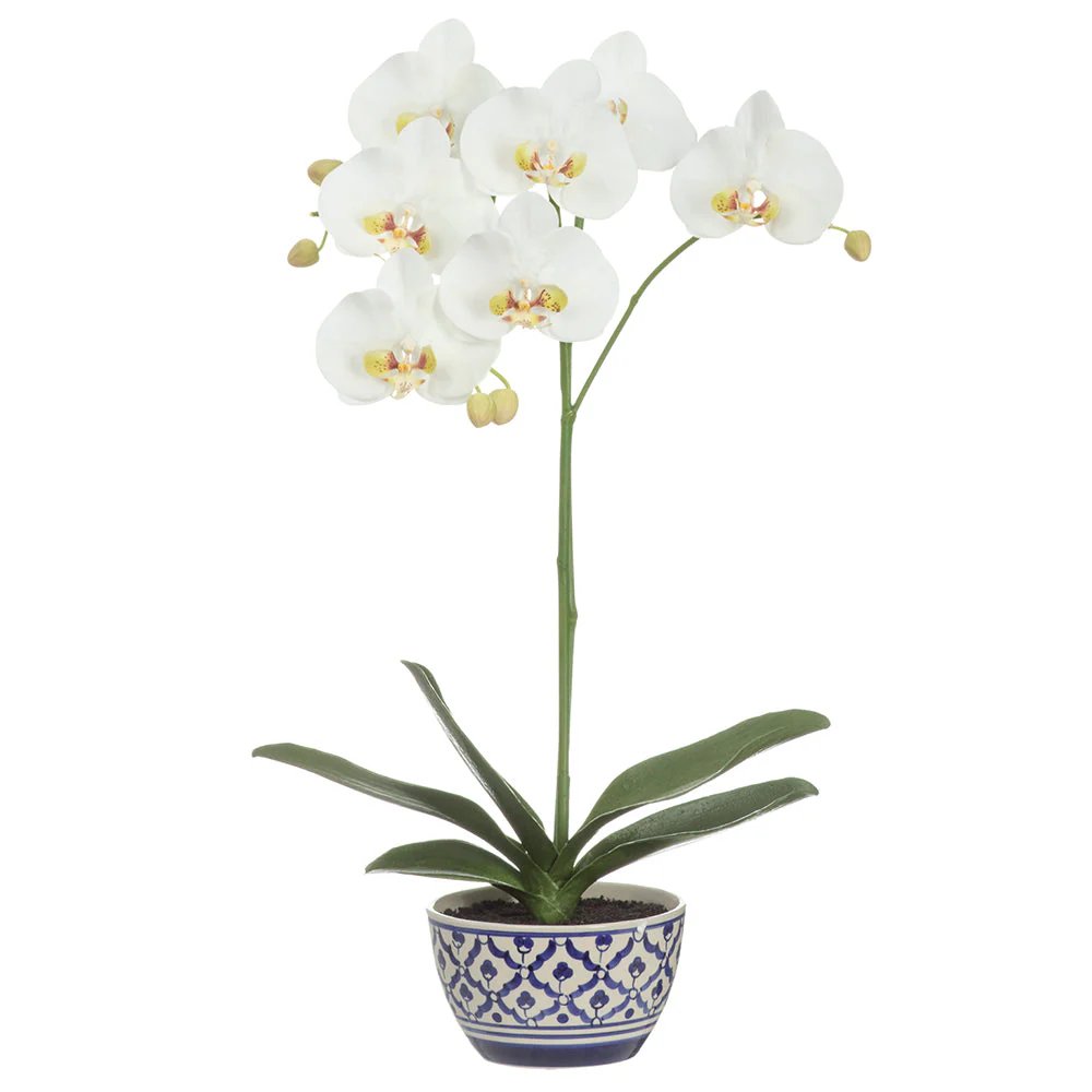 25" Hand-Wrapped Phalaenopsis Orchid Artificial Flower Arrangement w/Ceramic Vase -Cream/Green