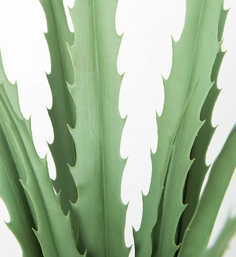 25" Outdoor UV-Proof Artificial Sharp Leaf Agave Plant -Green (Pack of 4) - Image 2