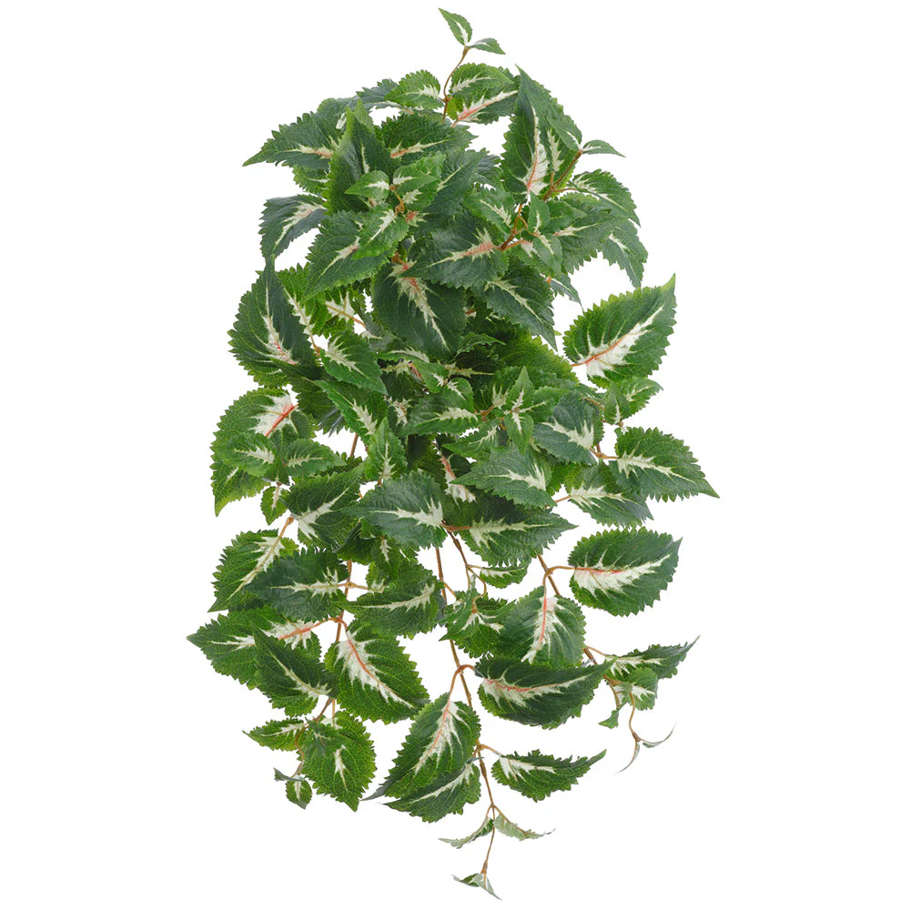 25" Outdoor UV-Resistant Artificial Coleus Hanging Plant -Green/Cream (Pack of 6)