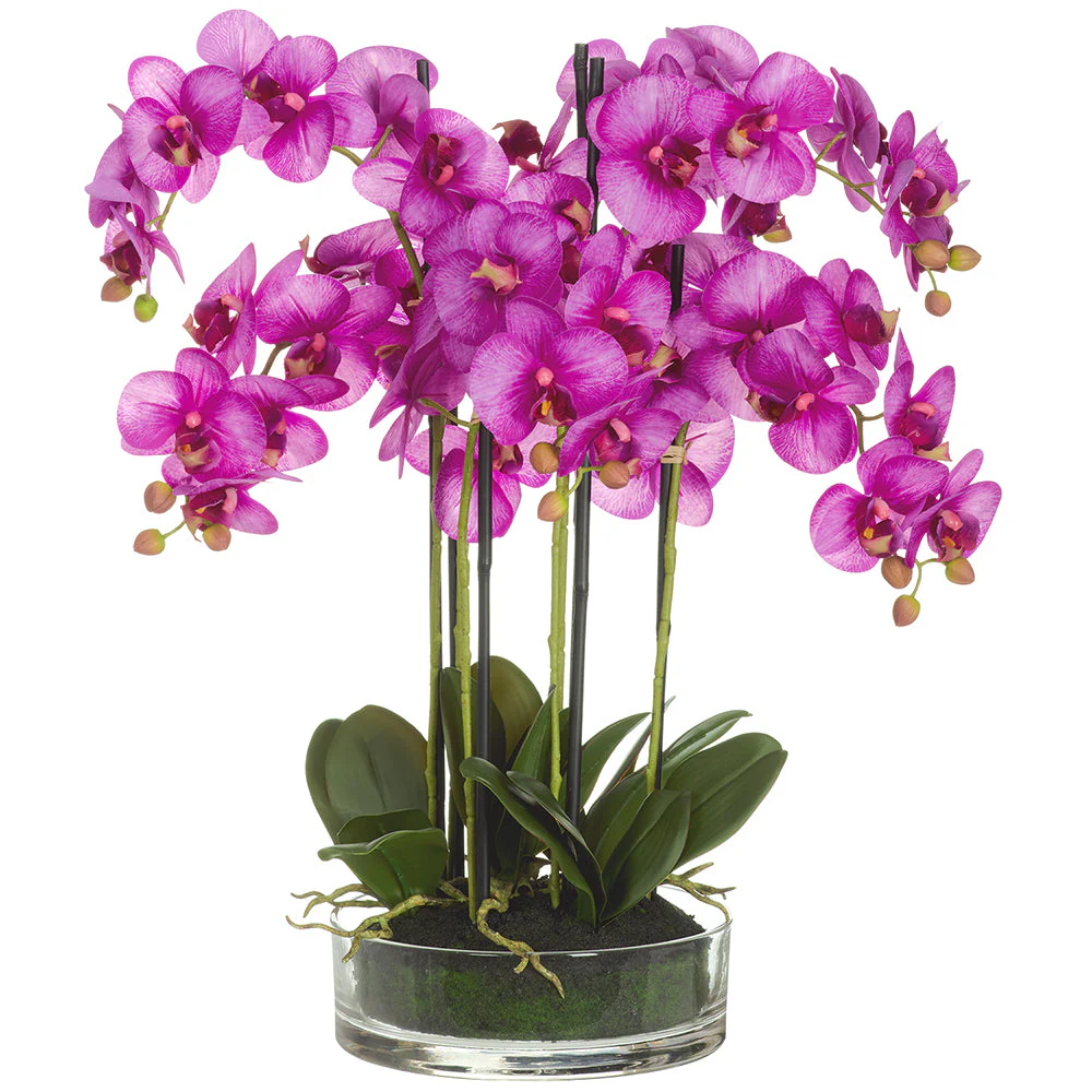 25" Phalaenopsis Orchid Silk Flower Arrangement w/Glass Vase -Orchid