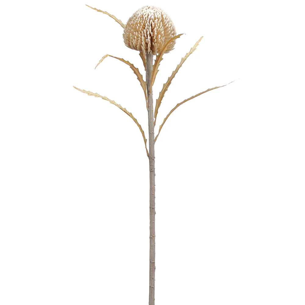 25" Protea Artificial Flower Stem -Beige/Tan (Pack of 12)