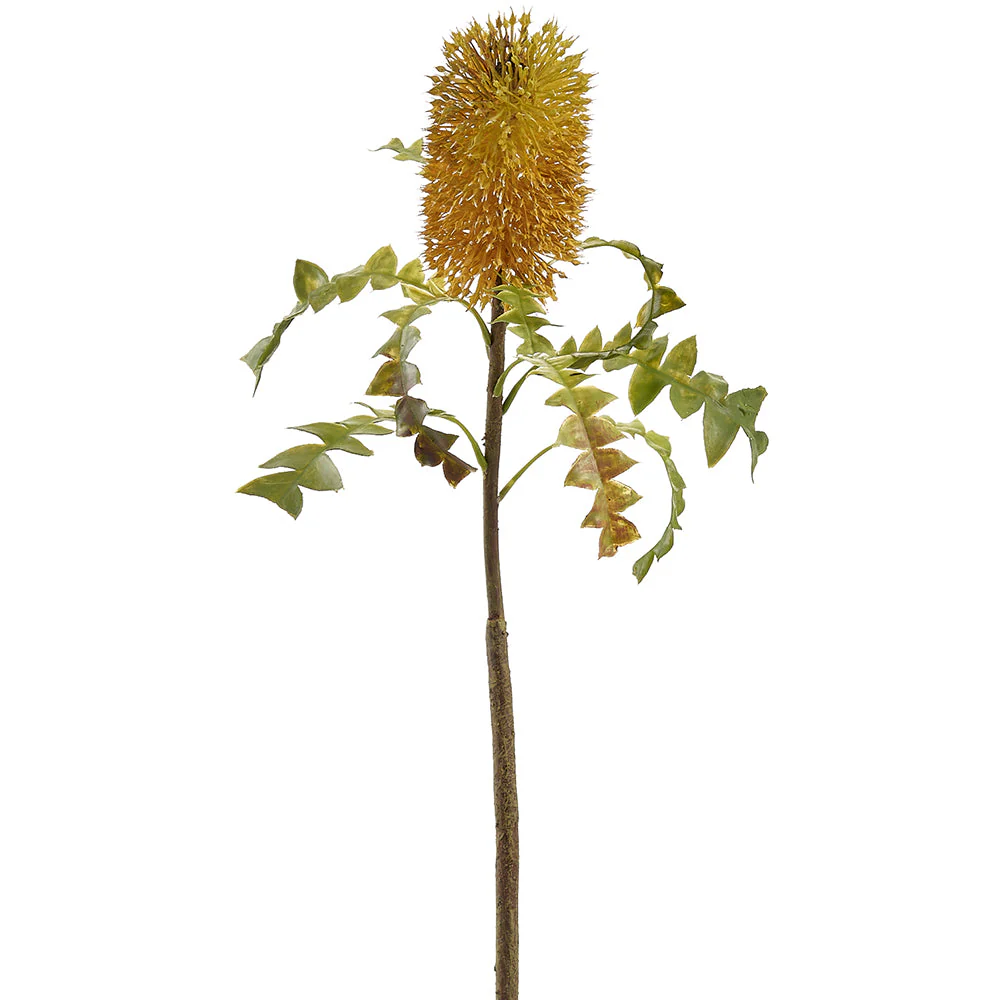 25" Protea Artificial Flower Stem -Yellow (Pack of 12)