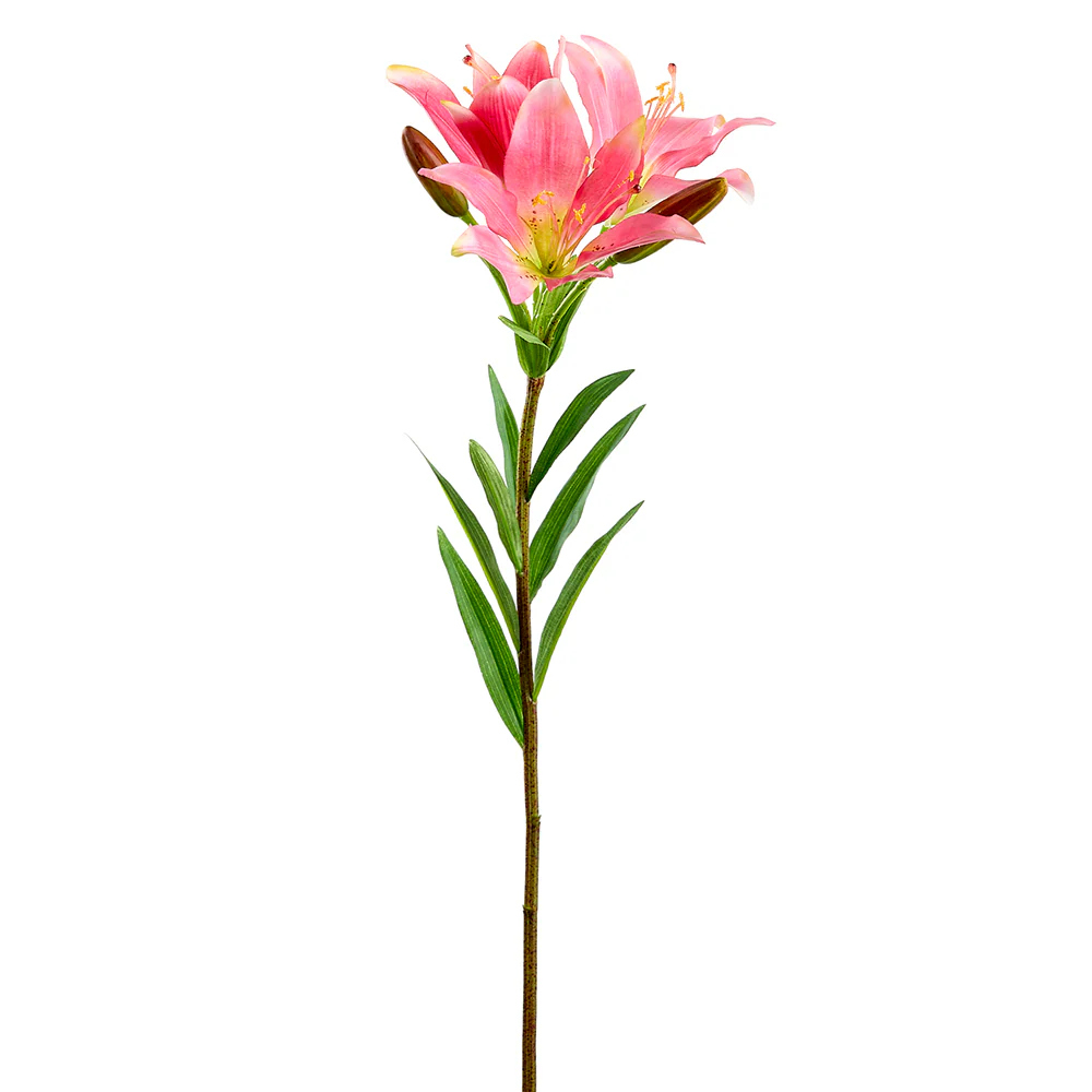 25" Silk Asian Lily Flower Stem -Cerise (Pack of 12)