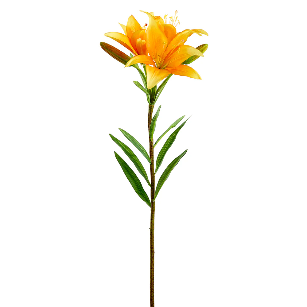 25" Silk Asian Lily Flower Stem -Orange (Pack of 12)