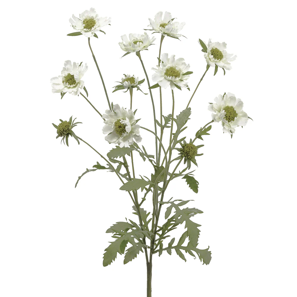 25" Silk Scabiosa Flower Bush -White (Pack of 6)