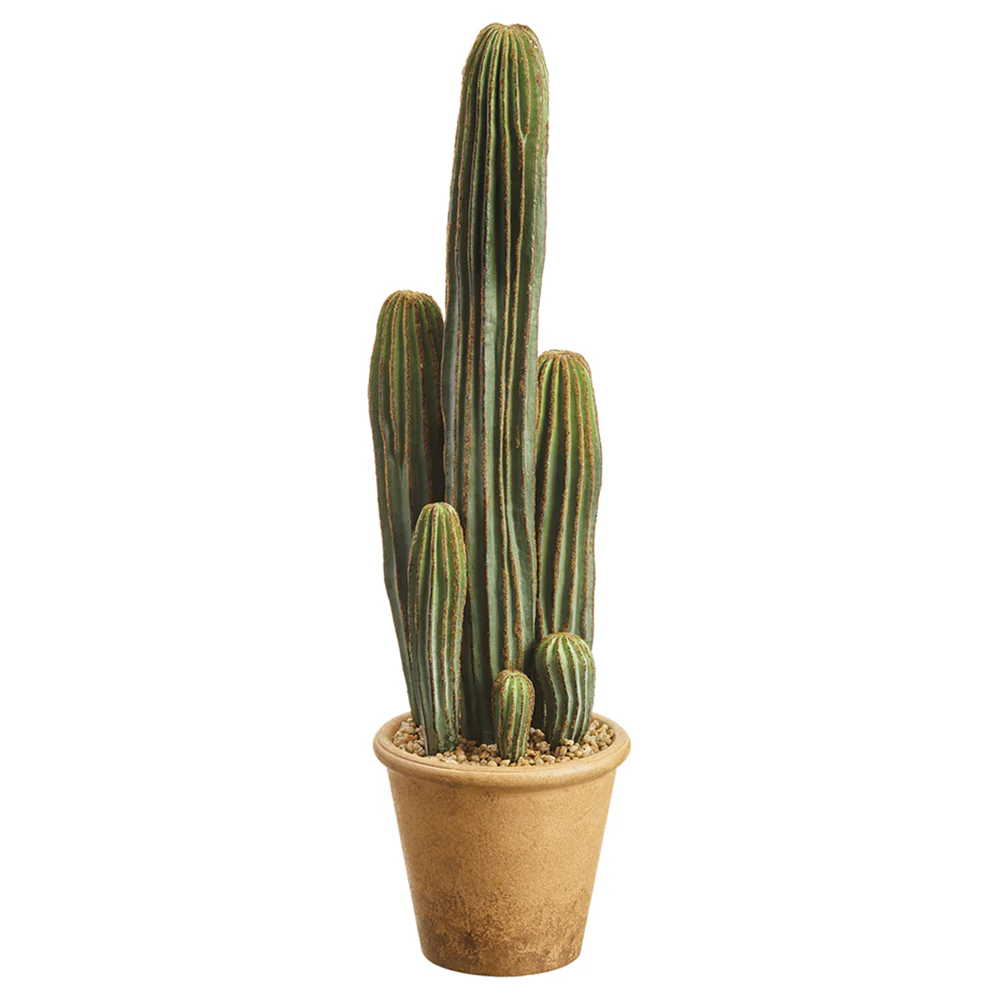 26" Artificial Column Cactus Plant w/Papier Mache Pot -Green (Pack of 2)