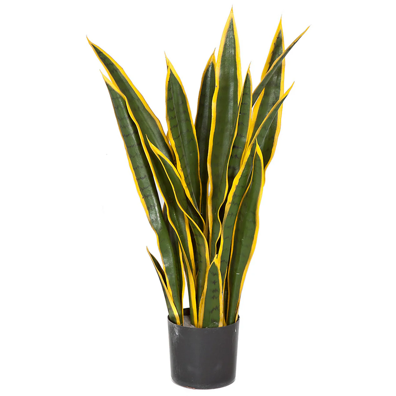 26" IFR Sansevieria Snake Artificial Plant w/Pot -Green/Yellow