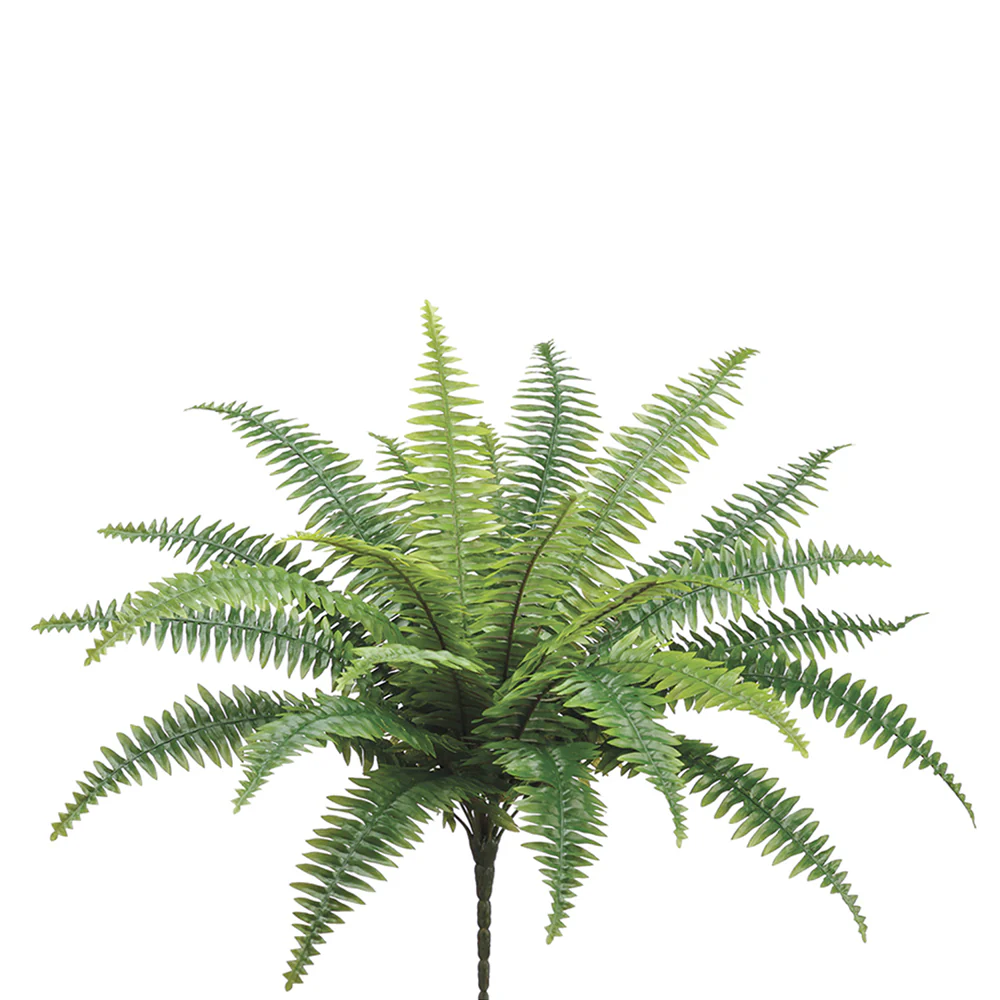 26" Silk Boston Fern Plant -25 Leaves -Green (Pack of 6)