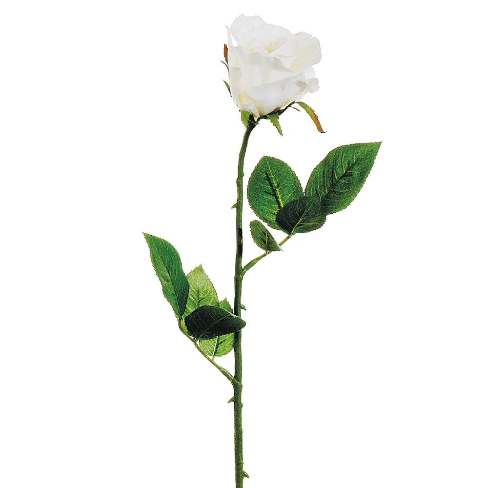 26" Silk Half Open Rose Flower Spray -Cream/White (Pack of 24)
