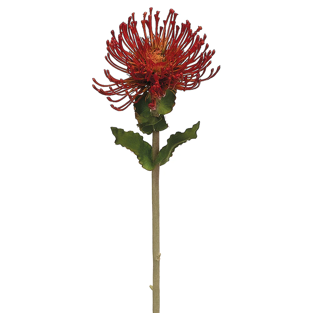 26" Silk Protea Flower Spray -Orange (Pack of 12)