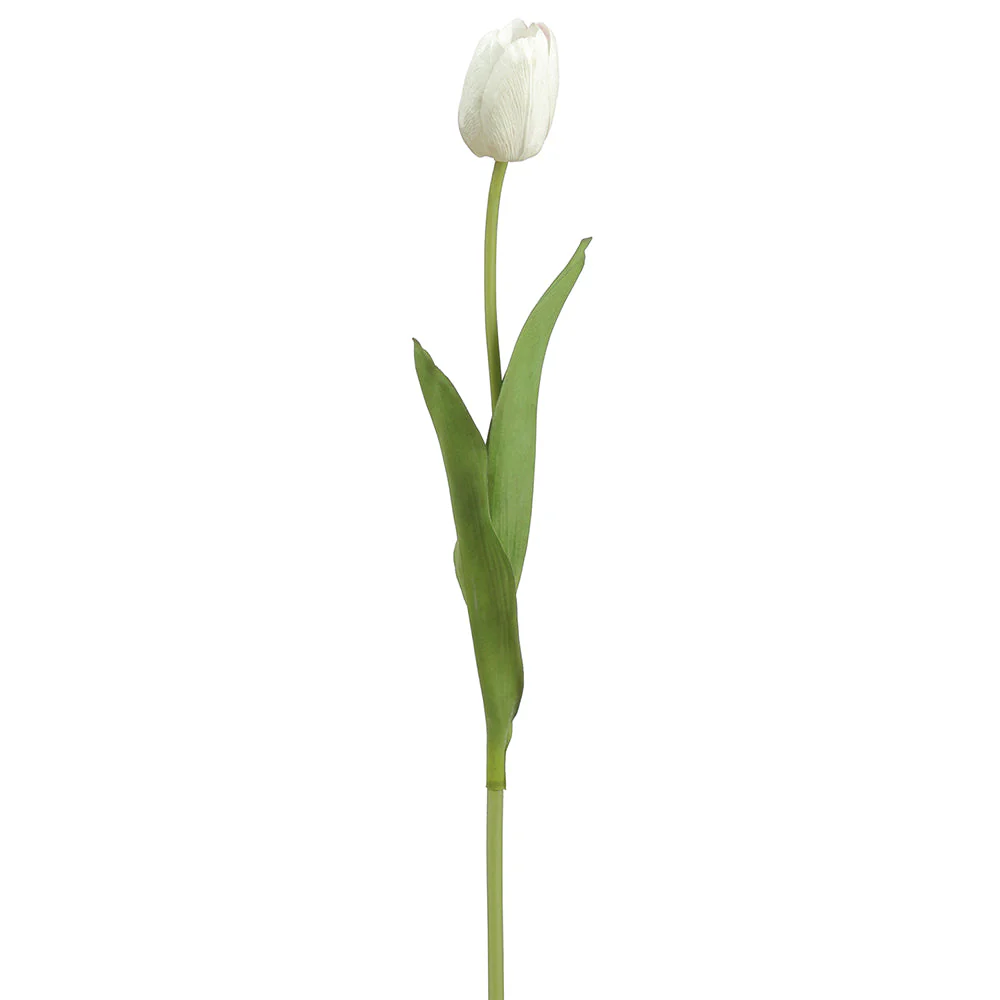 26" Tulip Bud Silk Flower Stem -Cream (Pack of 12)