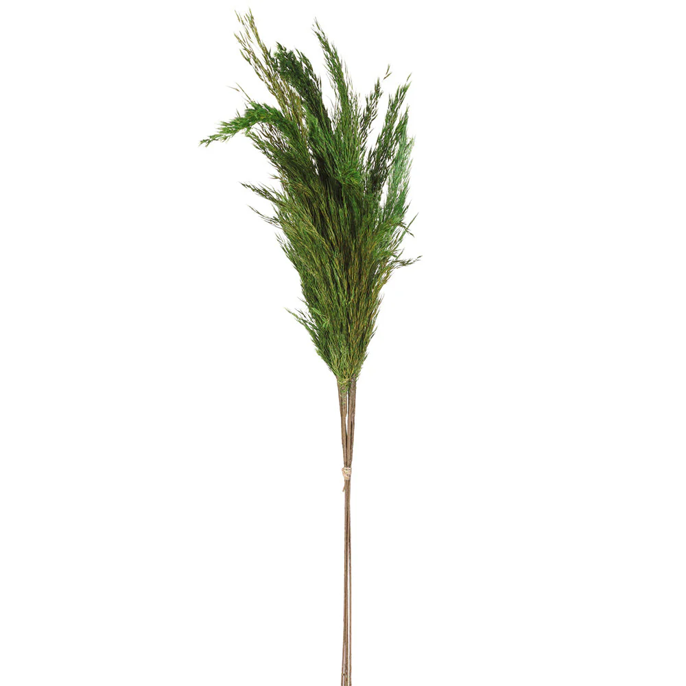 27.5" Artificial Pampas Grass Stem Bundle -Green (Pack of 12)
