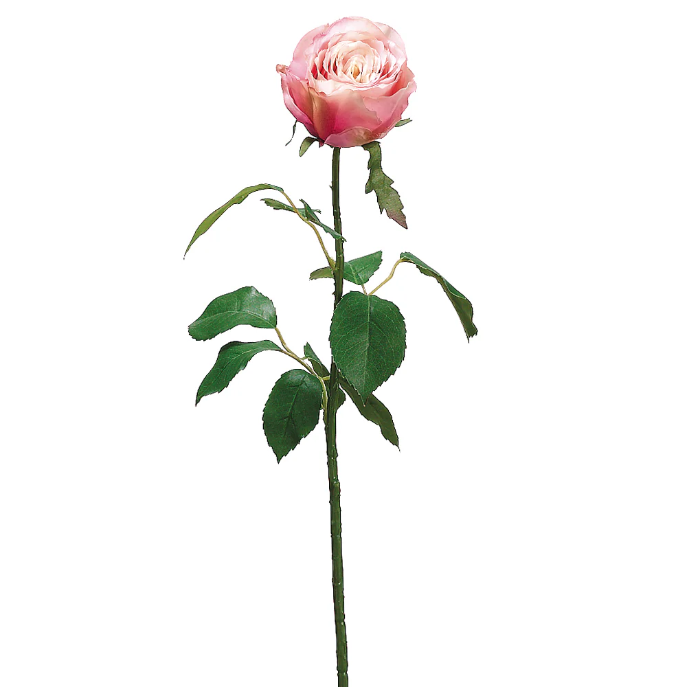 27.5" Large Cottage Rose Bud Silk Flower Stem -2 Tone Rose (Pack of 12)
