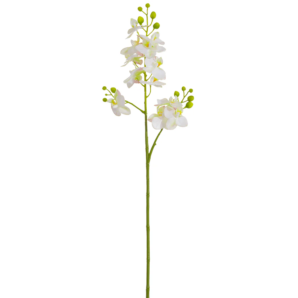 27.5" Mini Silk Phalaenopsis Orchid Flower Stem -White (Pack of 12)