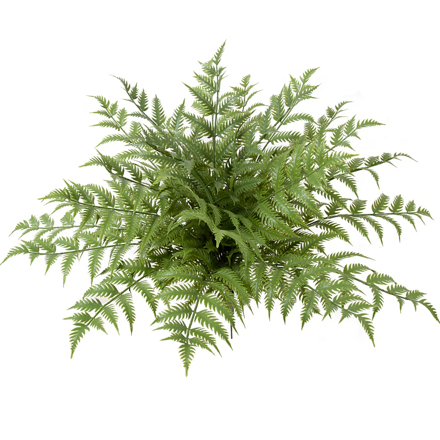 27.5" Outdoor UV-Proof Artificial Woodwardia Fern Plant -Green (Pack of 2)