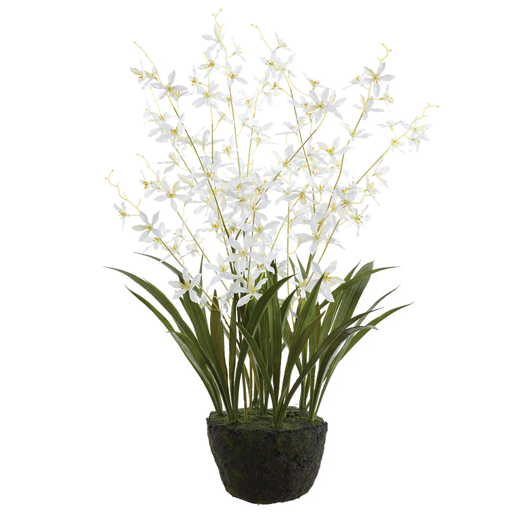 27" Dendrobium Orchid Silk Flower Arrangement w/Moss & Soil Ball -White (Pack of 4)