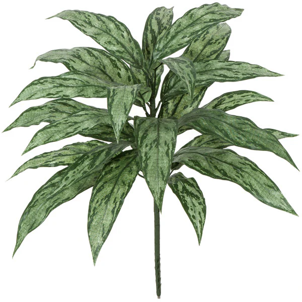 27" IFR Aglaonema Silver Queen Artificial Plant -Green/Gray (Pack of 12)
