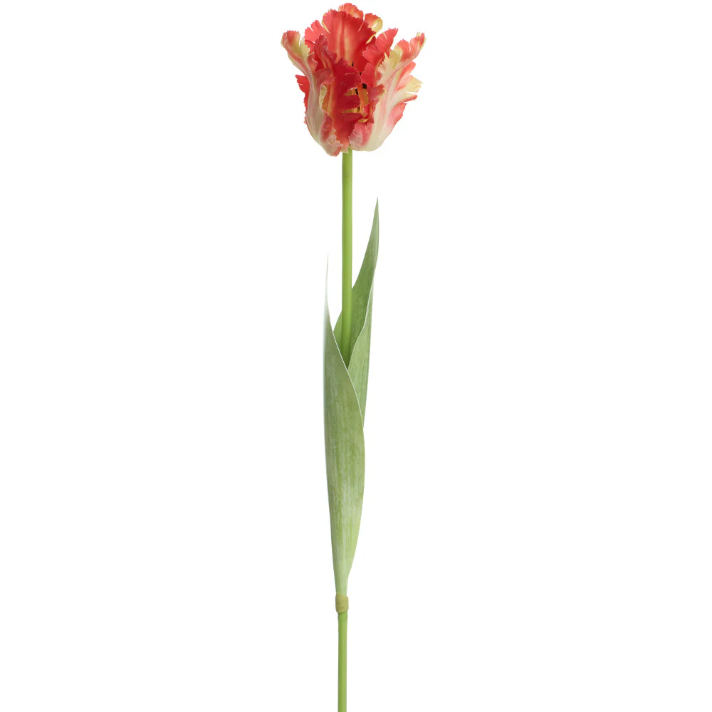 27" Parrot Tulip Silk Flower Stem -Red/Yellow (Pack of 12)