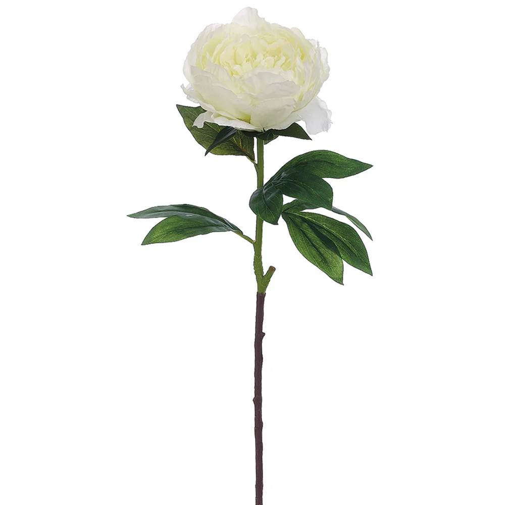 27" Silk Peony Flower Spray -Cream (Pack of 24)