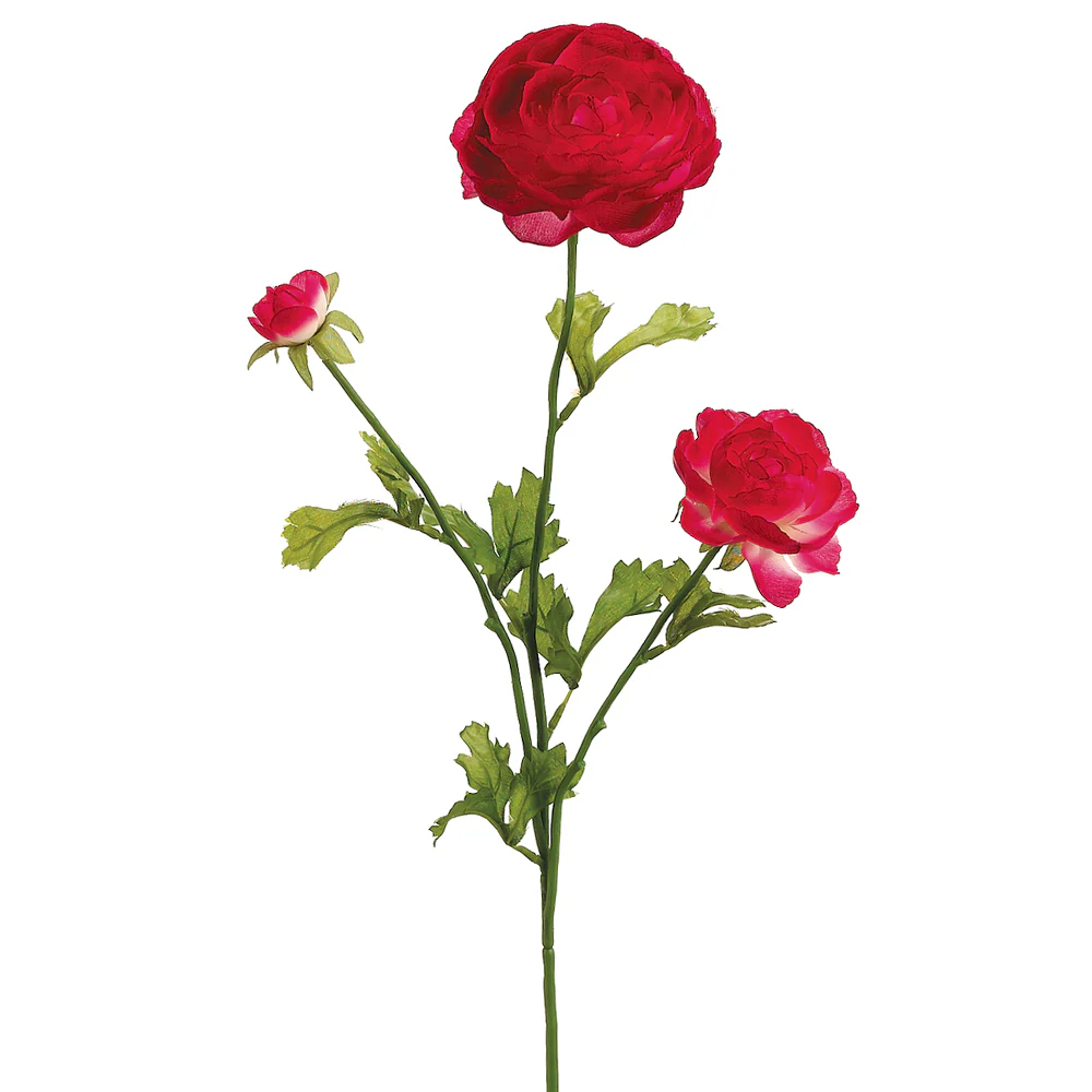 27" Silk Ranunculus Flower Spray -Beauty (Pack of 12)