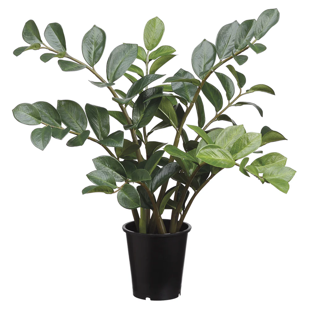 27" Zanzibar Gem Zamioculcas Succulent Artificial Plant w/Pot -Green (Pack of 3)