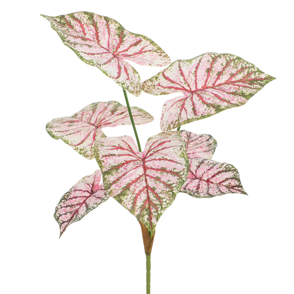 28.5" Caladium Leaf Silk Plant -Pink/Green (Pack of 12)