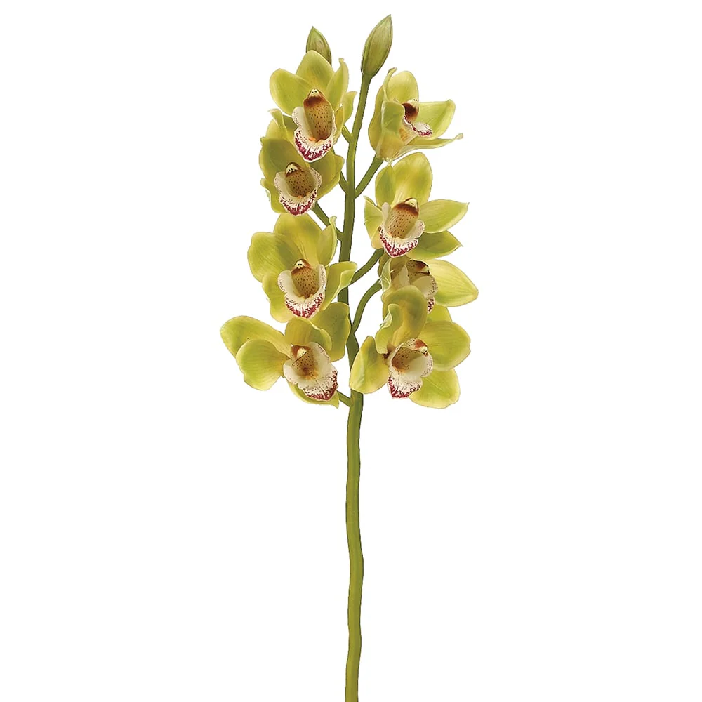 28.5" Hand-Wrapped Silk Cymbidium Orchid Flower Spray -Green/Burgundy (Pack of 6)
