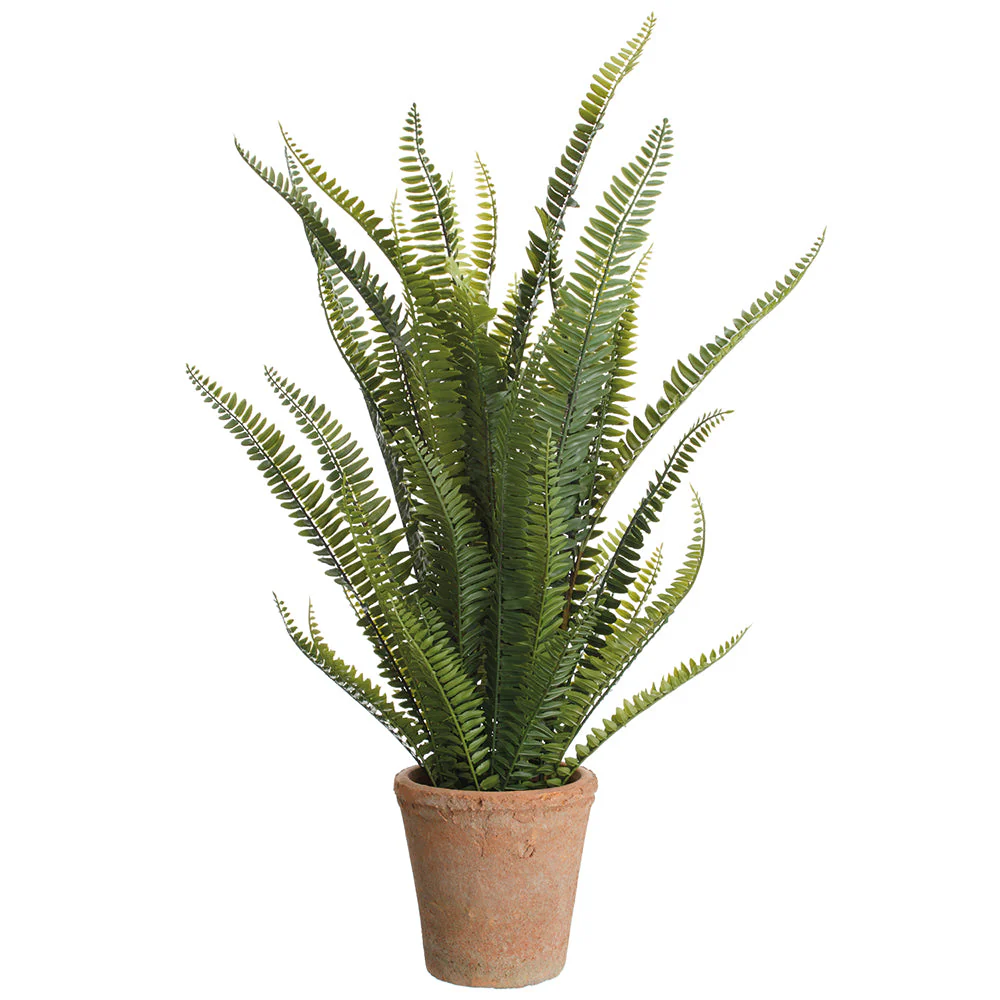 28" Boston Fern Silk Plant w/Clay Pot -Green (Pack of 2)