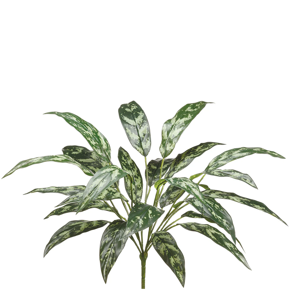 28" EVA Aglaonema Silver Queen Artificial Plant -Dark Green (Pack of 6)