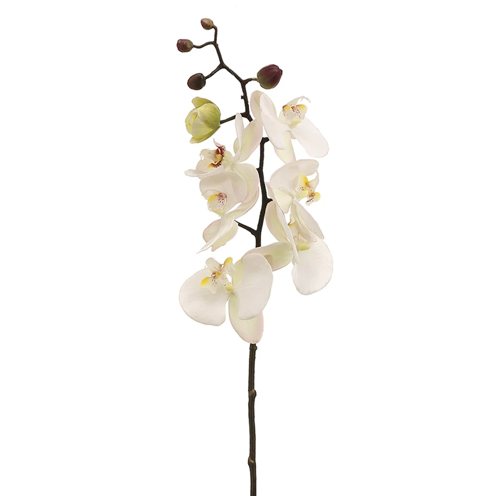 28" Hand-Wrapped Silk Phalaenopsis Orchid Flower Spray -Cream/Pink (Pack of 6)