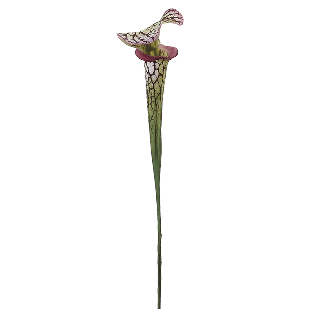 28" Hand-Wrapped Silk Pitcher Plant Flower Spray -Green/Burgundy (Pack of 12)
