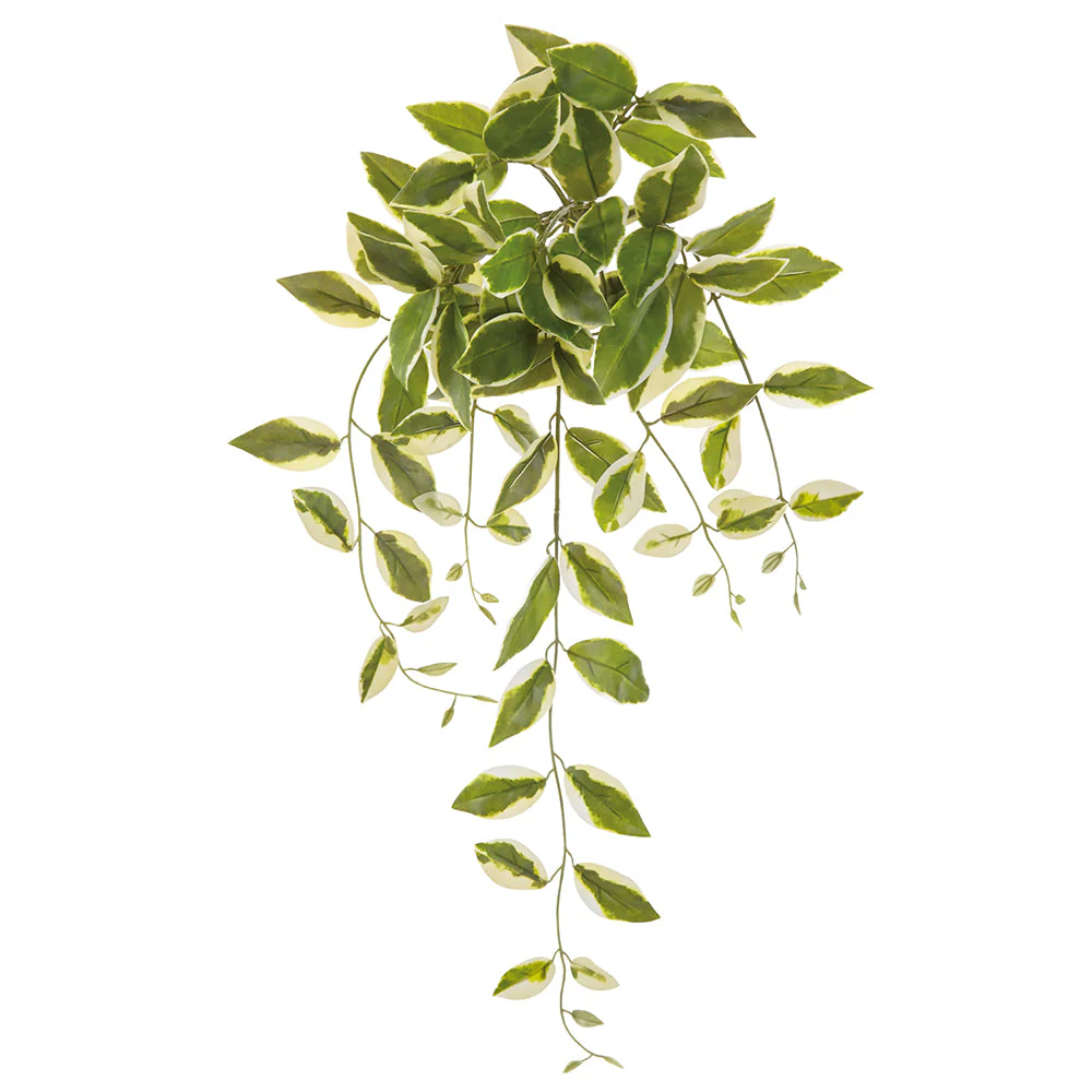28" Hanging Artificial Hoya Carnosa Leaf Plant -Green/Cream (Pack of 12)
