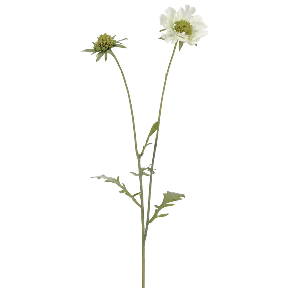 28" Scabiosa Silk Flower Stem -White (Pack of 12)