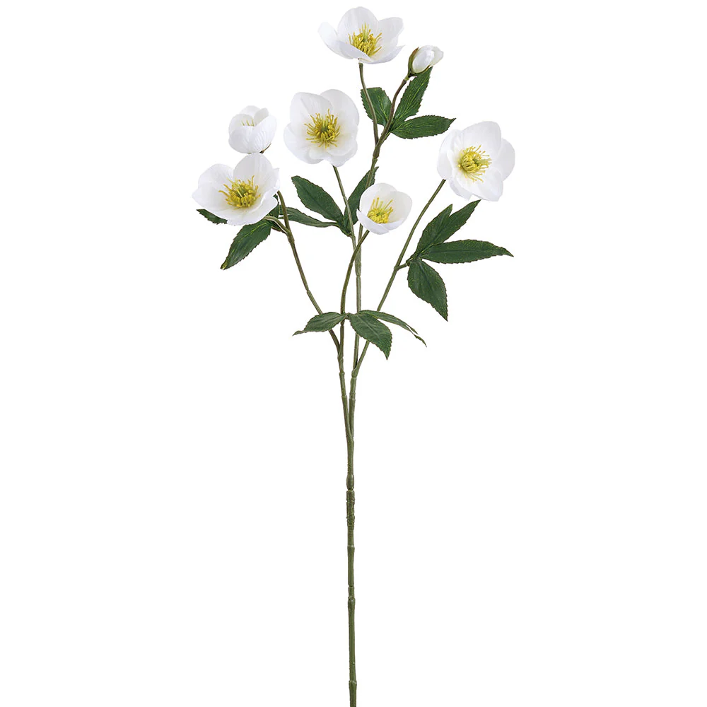 28" Silk Helleborus Flower Stem -Cream (Pack of 12)