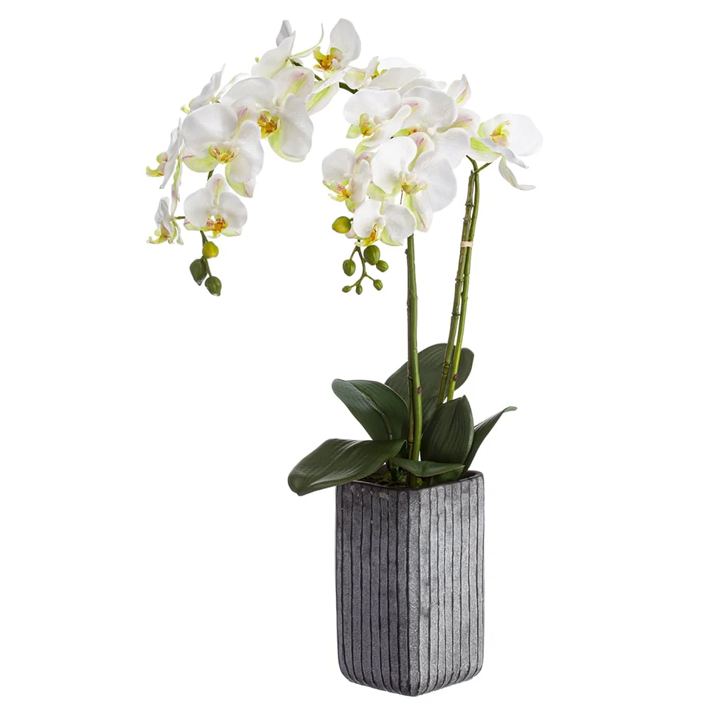 28" Silk Phalaenopsis Orchid Flower Arrangement w/Cement Pot -White (Pack of 2)