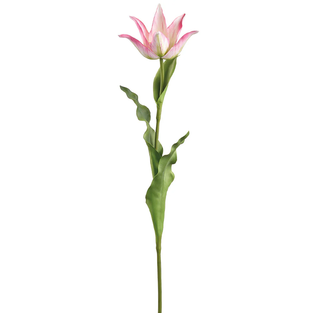 28" Tulip Silk Flower Stem -Cream/Pink (Pack of 12)
