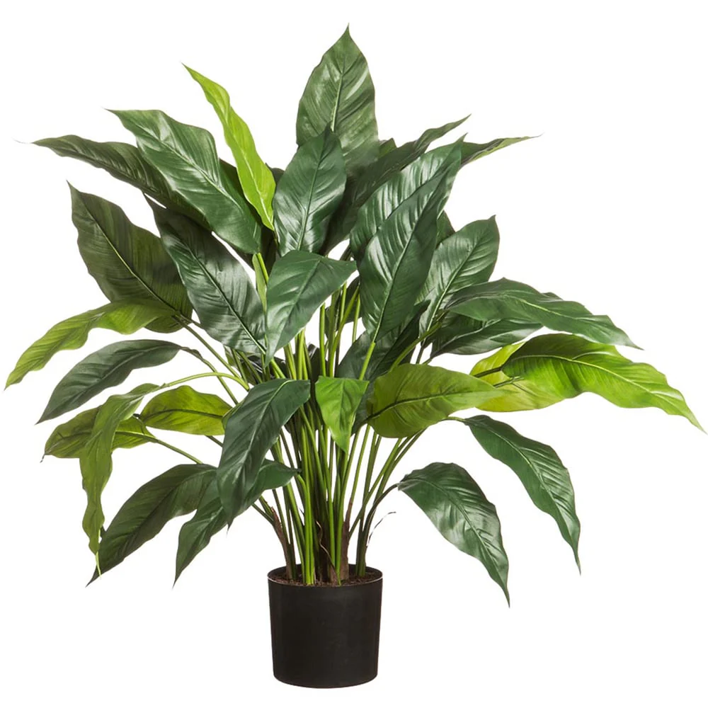 29.5" Silk Peace Lily Spathiphyllum Plant w/Pot -Green (Pack of 2)