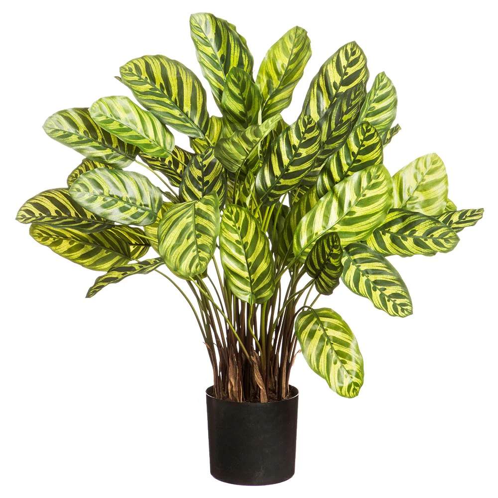 29.5" Tropical Silk Peacock Leaf Plant w/Plastic Pot -Green/Cream (Pack of 2)